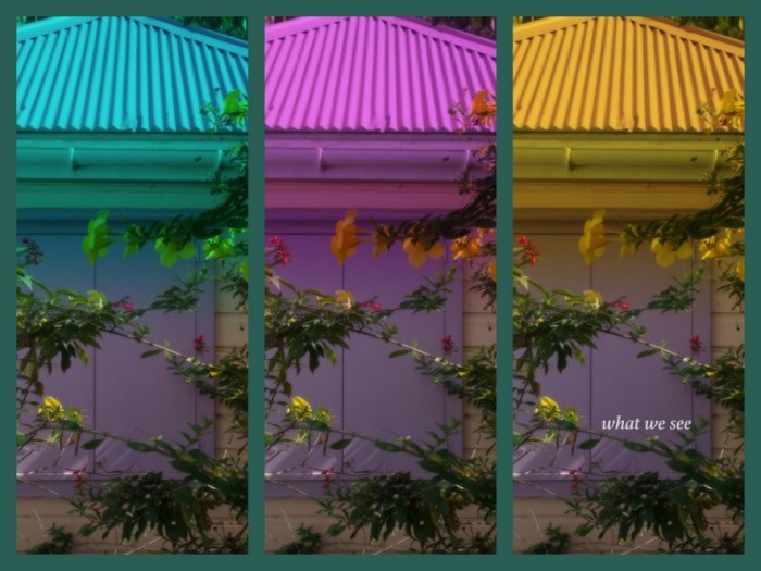 1-Pics for Blog Edits374