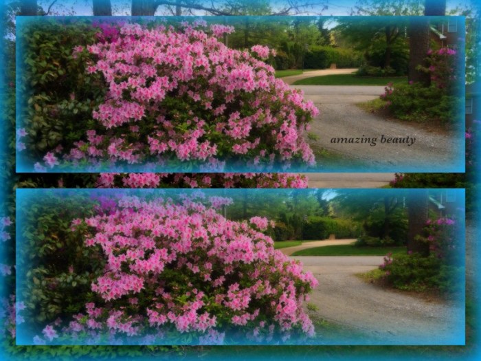 1-Pics for Blog Edits375