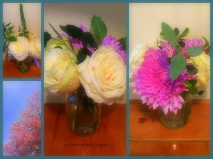 1-Pics for Blog Edits378