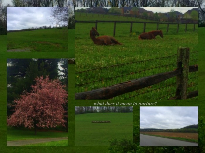 1-Pics for Blog Edits385