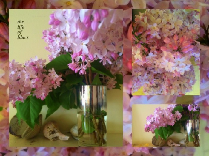 1-Pics for Blog Edits388