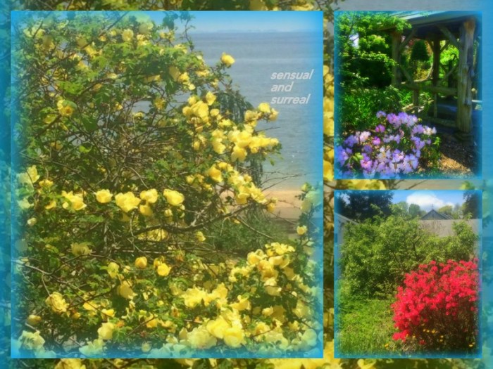 1-Pics for Blog Edits391