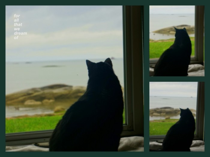 1-Pics for Blog Edits394