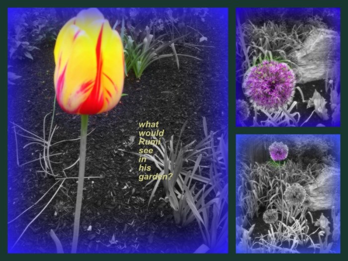 1-Pics for Blog Edits395