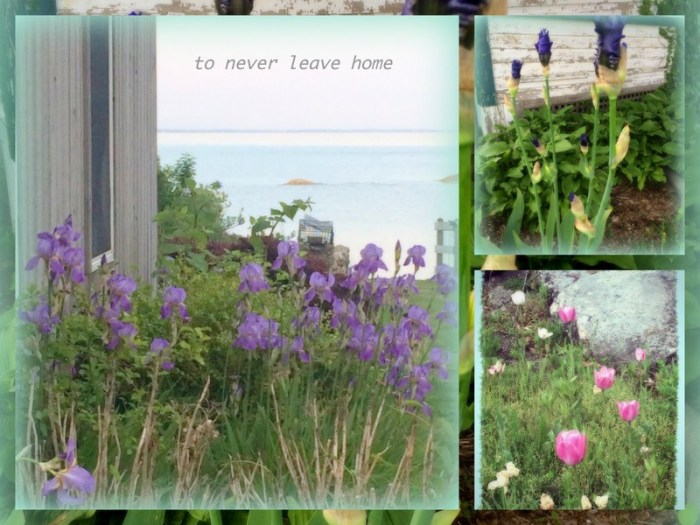 1-Pics for Blog Edits396