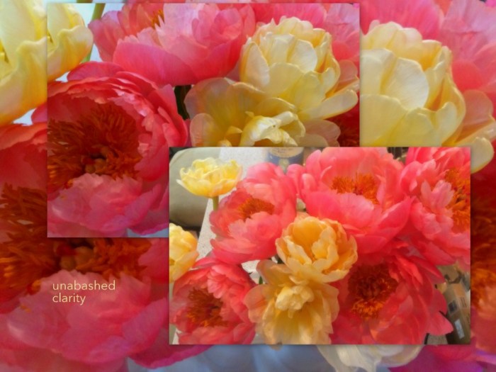 1-Pics for Blog Edits399