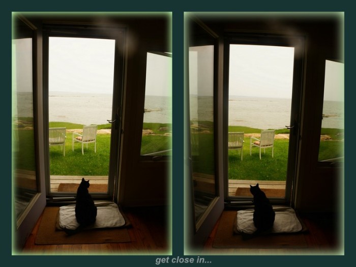 1-Pics for Blog Edits402