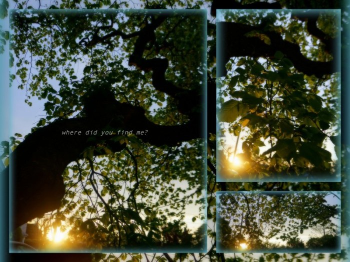 1-Pics for Blog Edits405