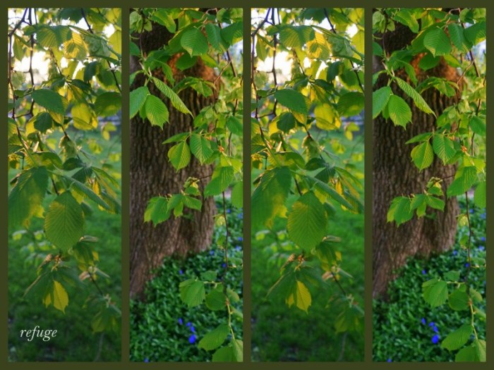 1-Pics for Blog Edits406