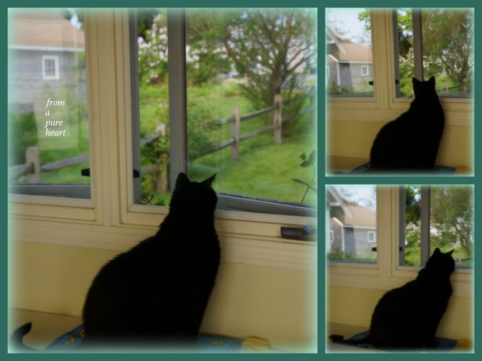 1-Pics for Blog Edits409