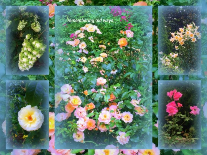 1-Pics for Blog Edits411.jpg