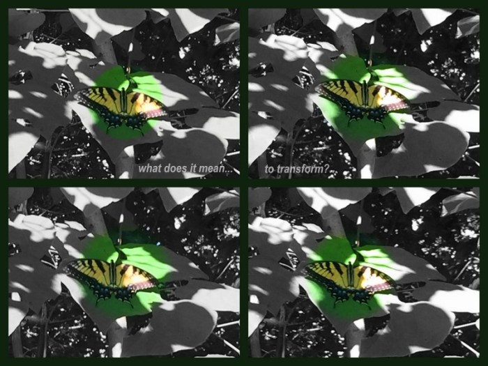 1-Pics for Blog Edits414