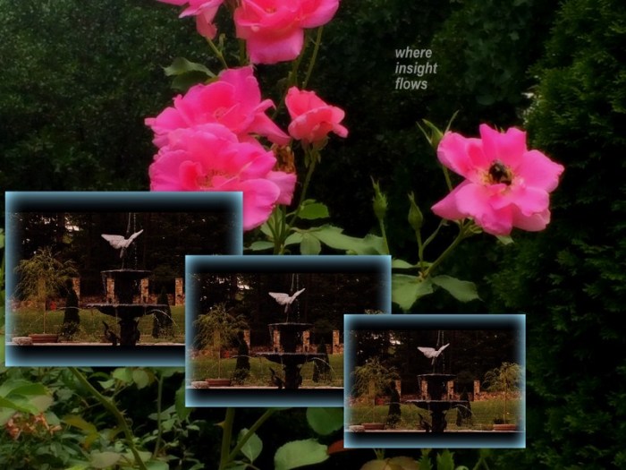 1-Pics for Blog Edits416.jpg