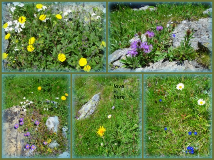 1-Pics for Blog Edits419-001.jpg