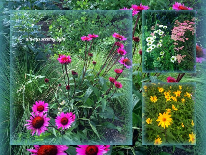 1-Pics for Blog Edits420.jpg