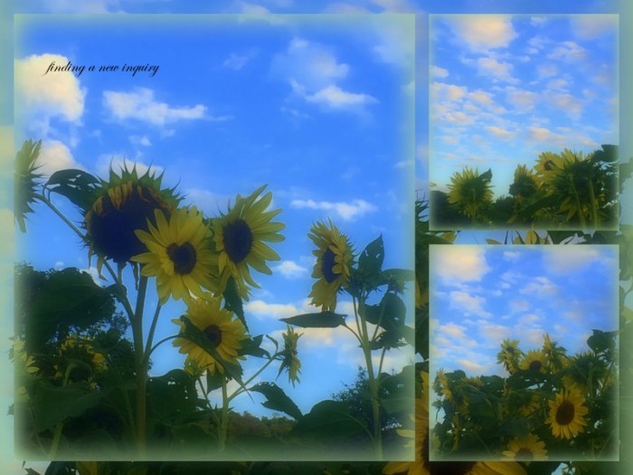 1-Pics for Blog Edits423.jpg