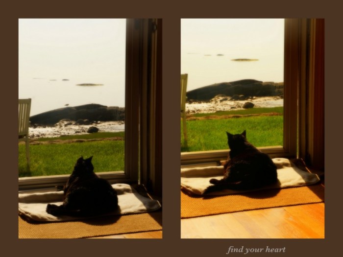 1-Pics for Blog Edits424