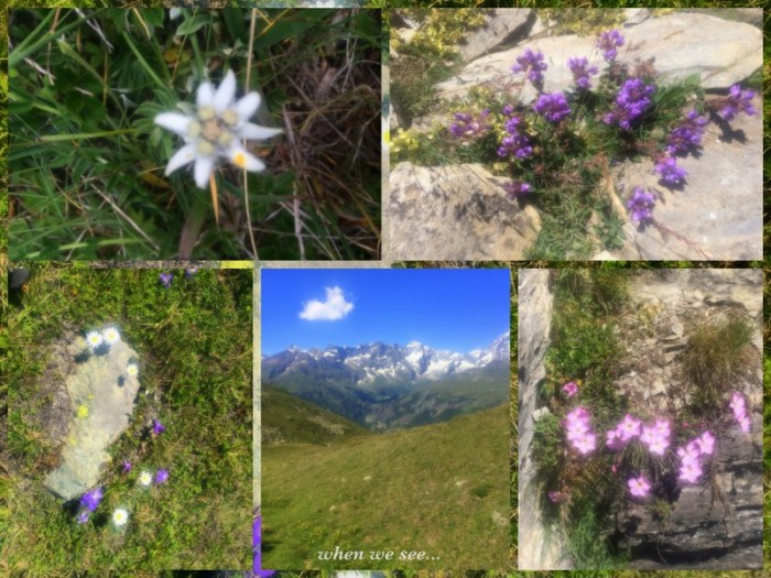 1-Pics for Blog Edits426.jpg