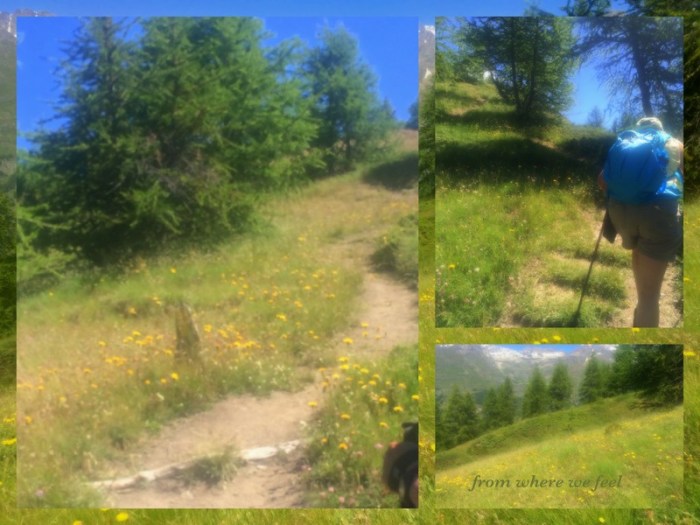 1-Pics for Blog Edits427