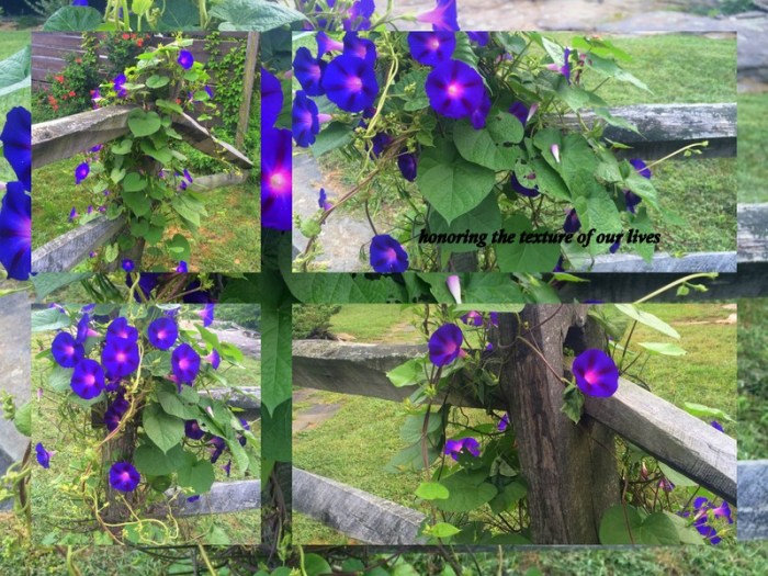 1-Pics for Blog Edits432.jpg