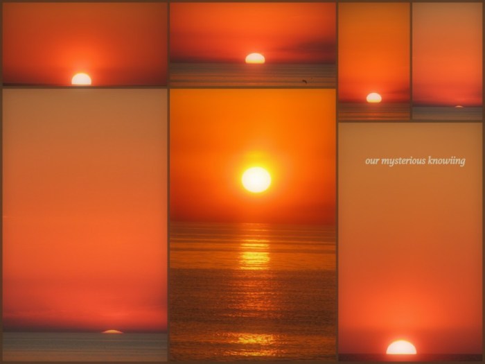 1-Pics for Blog Edits440.jpg