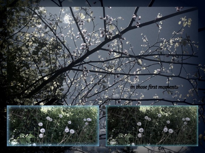 1-pics-for-blog-edits441