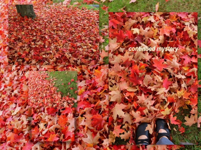 1-Pics for Blog Edits444.jpg