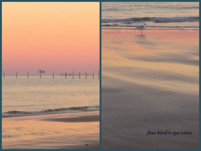 1-Pics for Blog Edits449.jpg