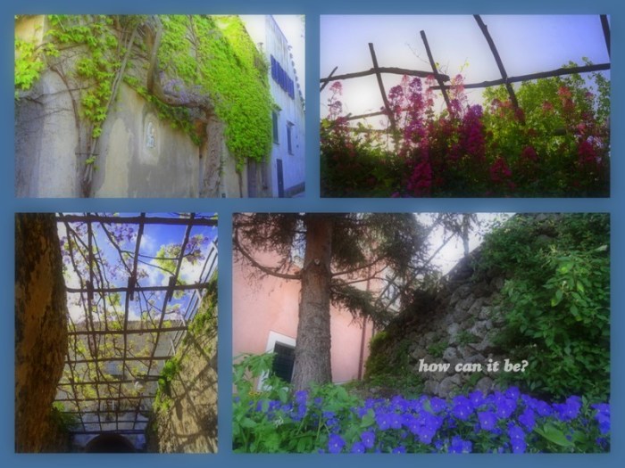 1-pics-for-blog-edits454