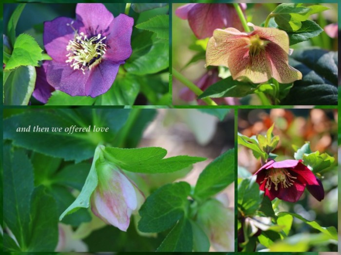 1-pics-for-blog-edits466