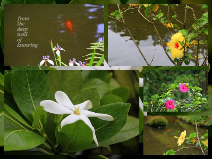 1-Pics for Blog Edits471.jpg