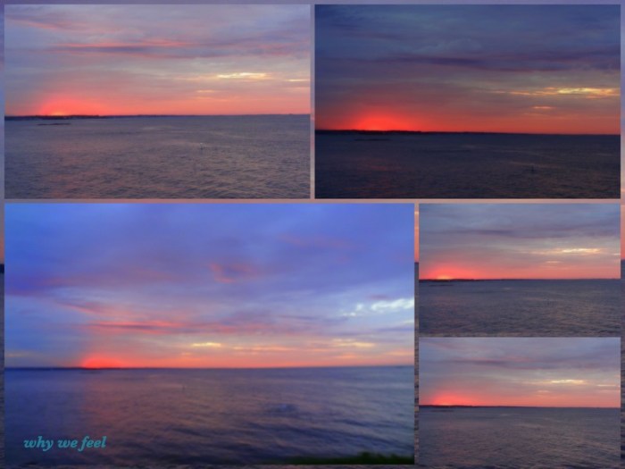 1-Pics for Blog Edits472