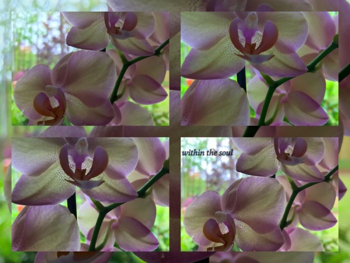 1-Pics for Blog Edits476.jpg