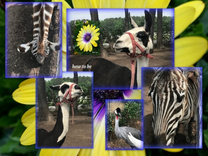 1-Pics for Blog Edits477