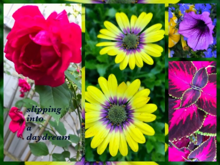 1-Pics for Blog Edits478.jpg