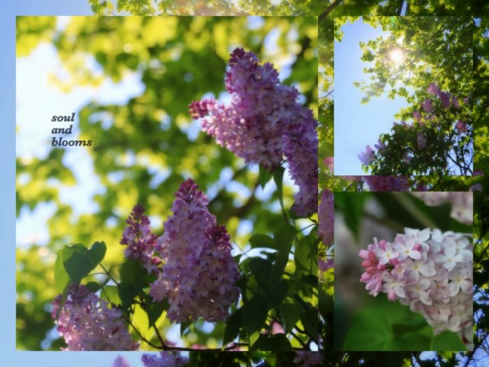 1-Pics for Blog Edits480.jpg