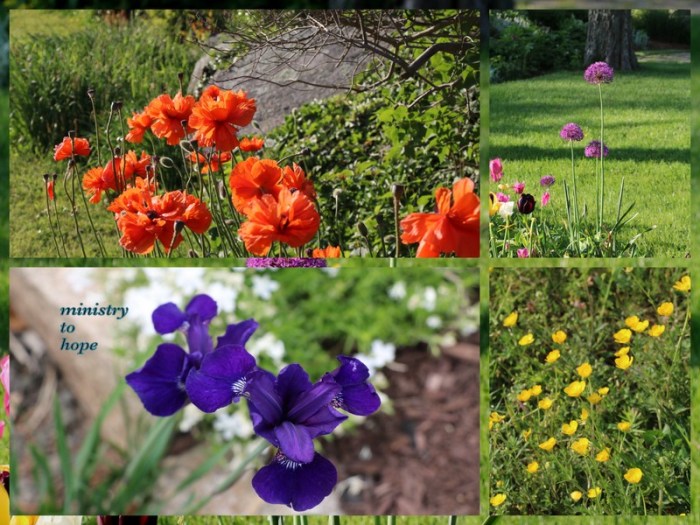 1-Pics for Blog Edits481.jpg