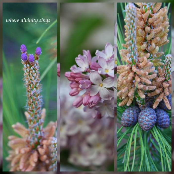 1-Pics for Blog Edits486.jpg