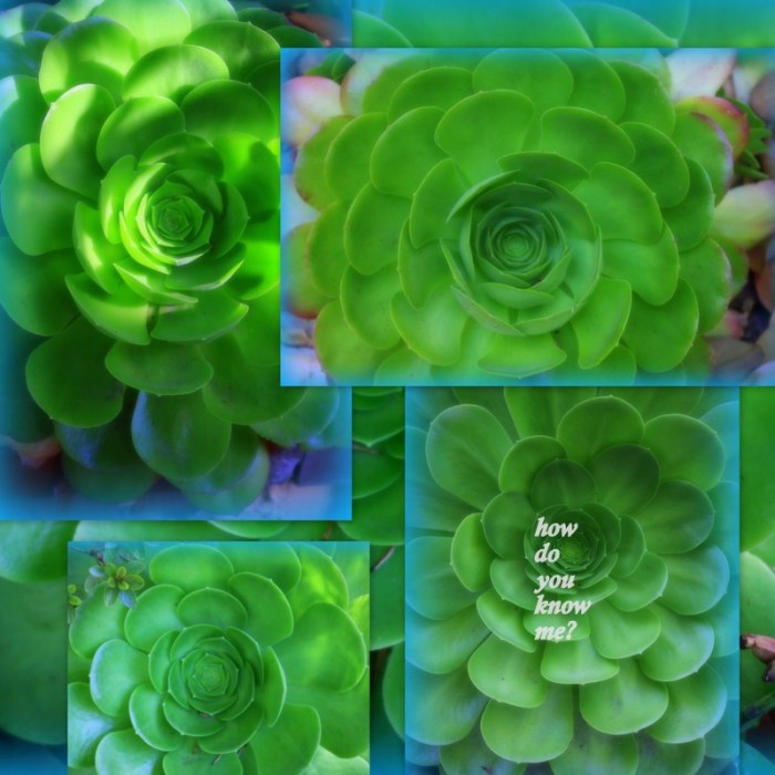 1-Pics for Blog Edits490.jpg