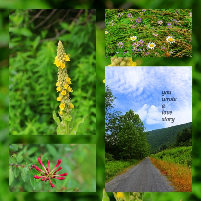1-Pics for Blog Edits492