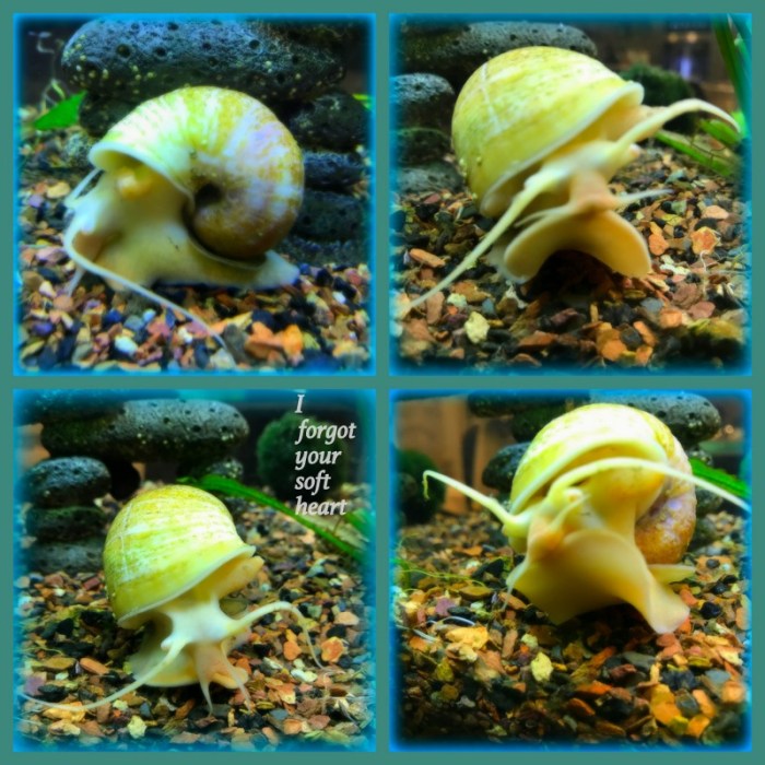 1-Pics for Blog Edits494.jpg