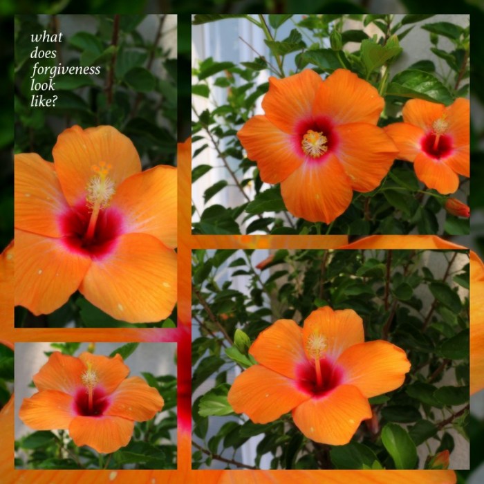 4-Pics for Blog Edits496.jpg