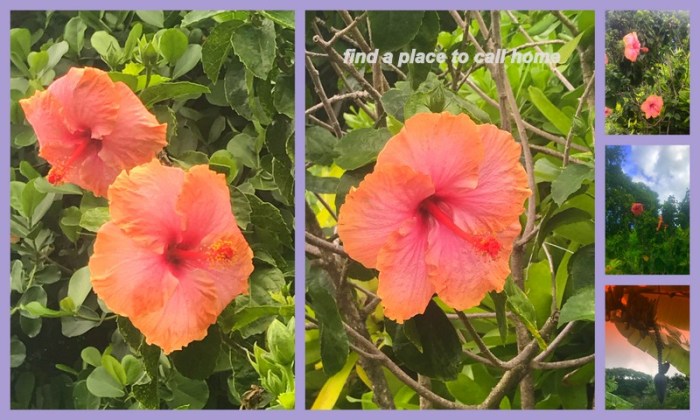 1-Pics for Blog Edits516.jpg