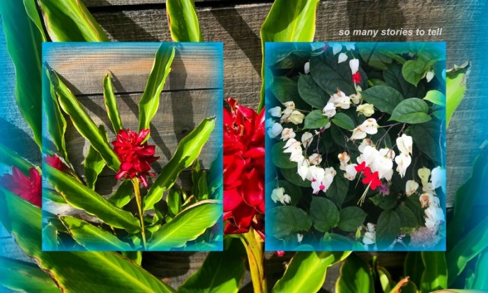 1-Pics for Blog Edits517.jpg