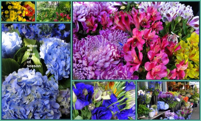 1-Pics for Blog Edits522