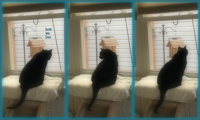 1-Pics for Blog Edits525.jpg