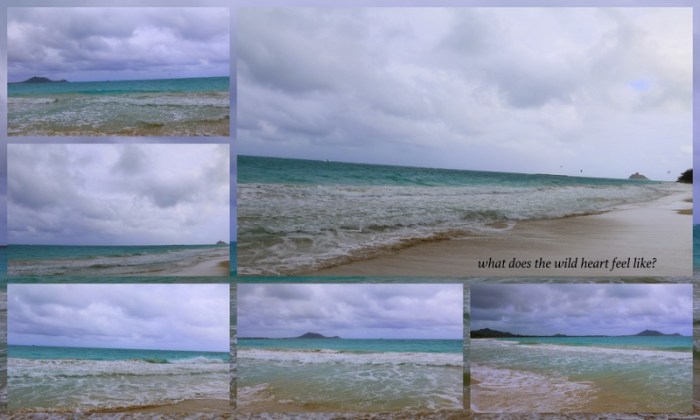 1-Pics for Blog Edits526.jpg