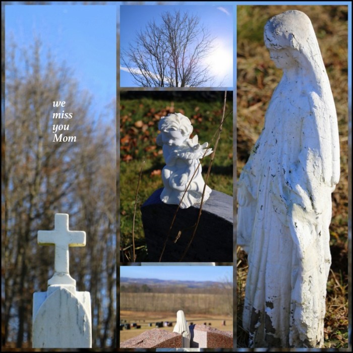 1-Pics for Blog Edits531