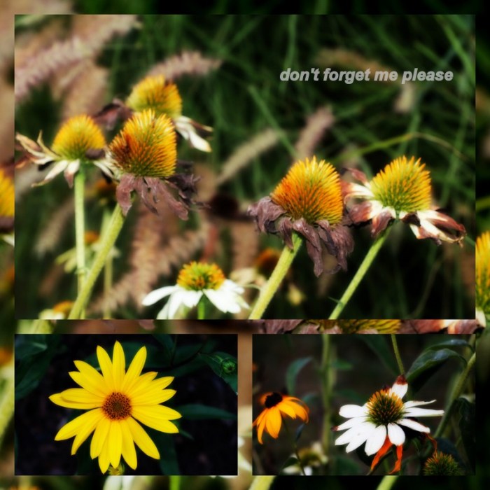 1-Pics for Blog Edits532.jpg