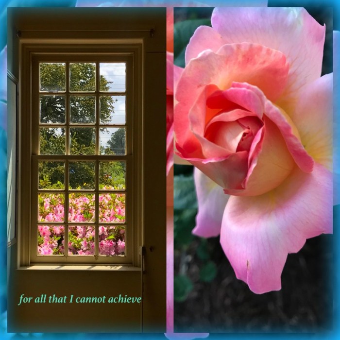 1-Pics for Blog Edits535.jpg